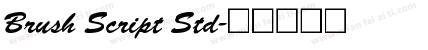 Brush Script Std字体转换